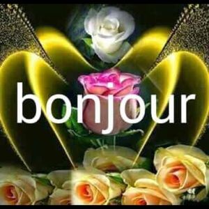 Meet your Posher, Yung